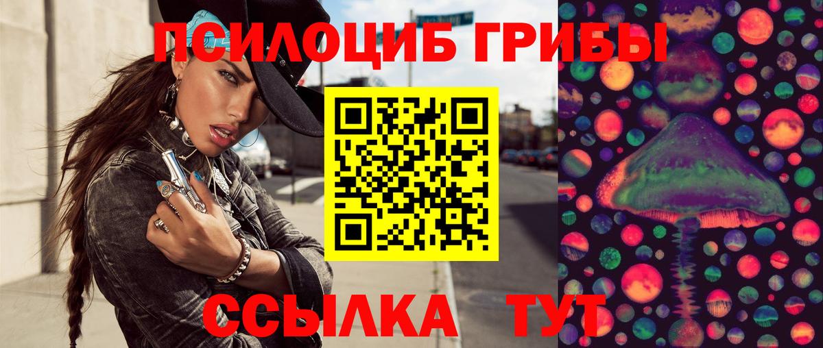 Псилоцибиновые грибы Psilocybine cubensis  Галлюциногенные грибы мицелий  Урай  Вход с VPN 